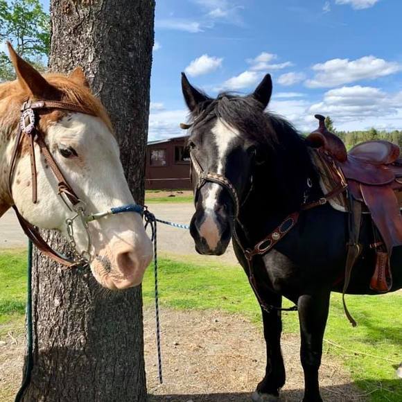 Meet your Posher, Timothy - Picture 1 of 1